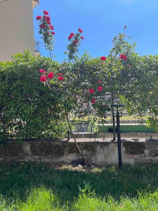 Casa Ale 5 Terre Guest House Con Giardino ラ・スペツィア エクステリア 写真